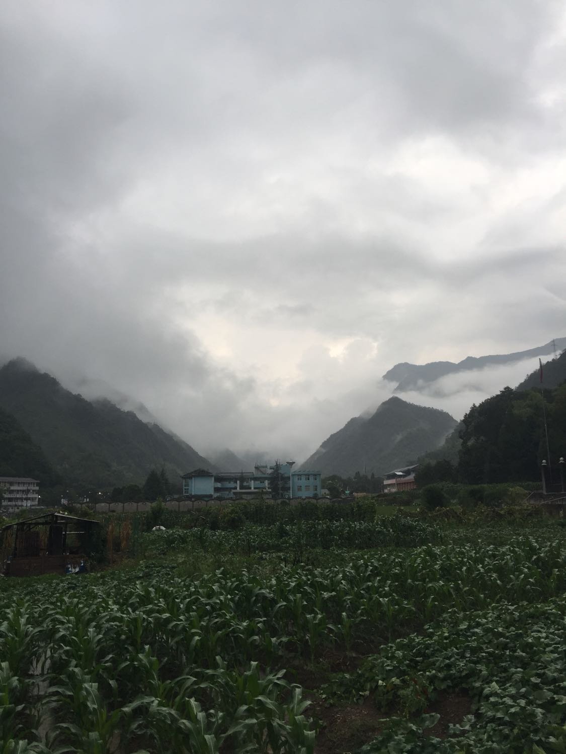 安雅村最新天气预报通知
