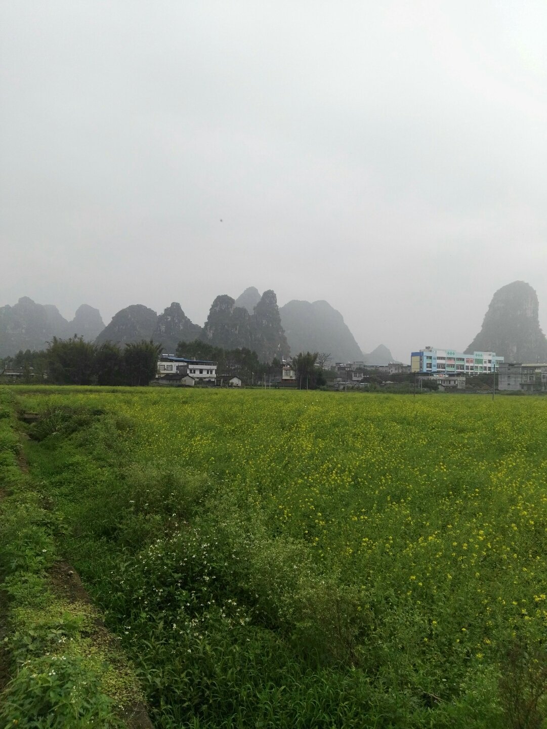 跃翰 第2页