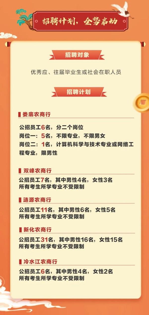 涟源市小学最新招聘信息及其社会影响分析