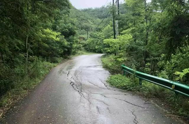 龙河镇保安林场天气预报更新通知