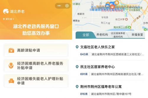 荆州区数据和政务服务局最新项目进展报告概览