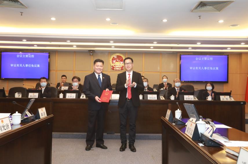 顺德区人民政府办公室最新项目，推动区域发展，提升民生福祉。