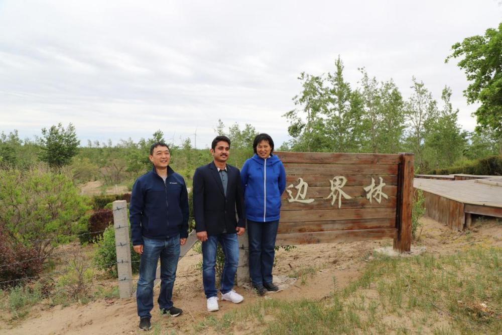 米沙子镇最新人事任命动态与地域发展影响分析