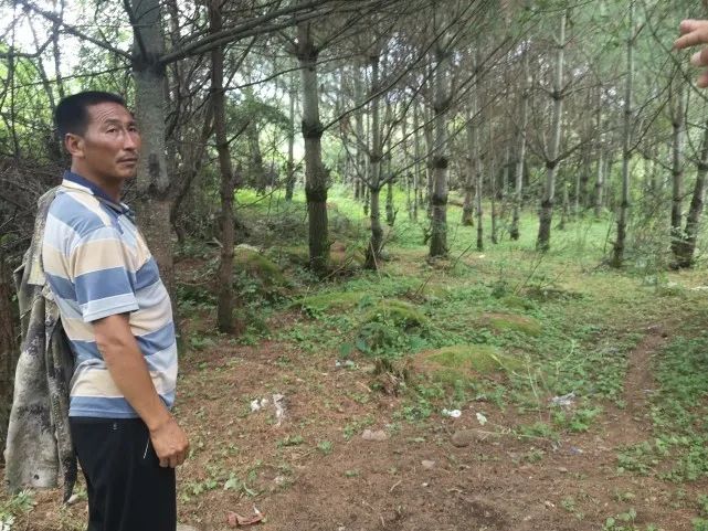 菜子川村民委员会交通新闻更新，迈向现代化交通的坚定步伐