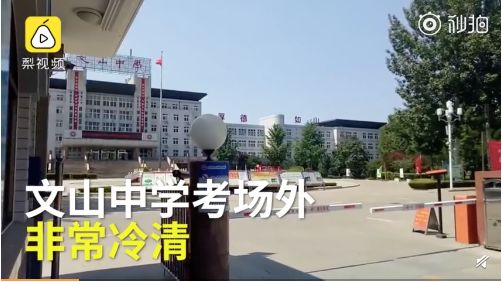 单山村委会乡村振兴与社区发展新篇章揭晓，最新新闻一览无余
