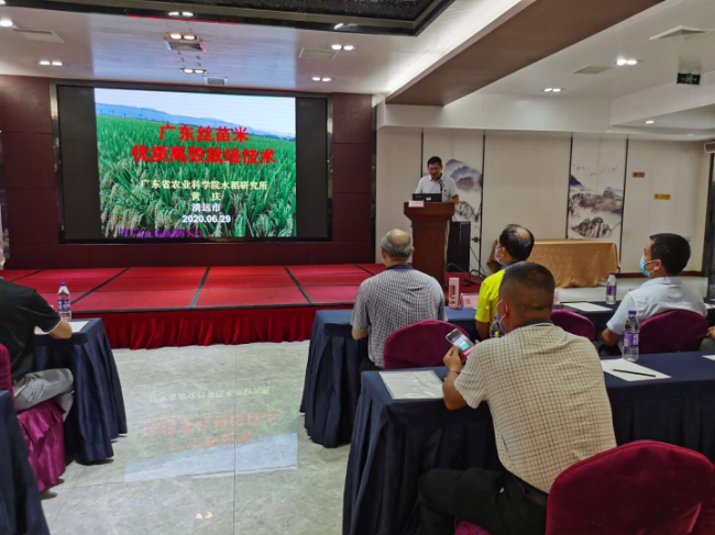 张家港市稻麦良种场领导团队引领创新发展的最新篇章