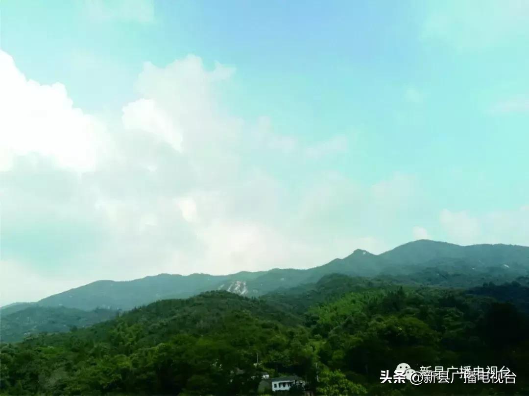 九下村委会最新新闻报道概况