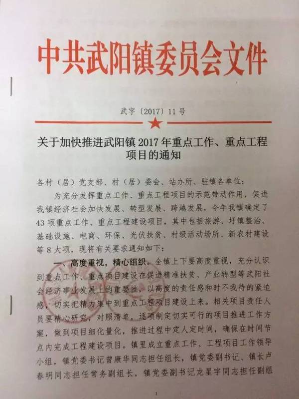 武阳镇最新发展规划概览