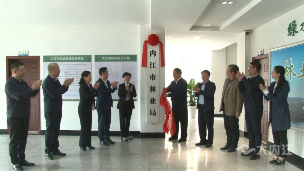 内江市林业局绿色生态建设项目的未来展望