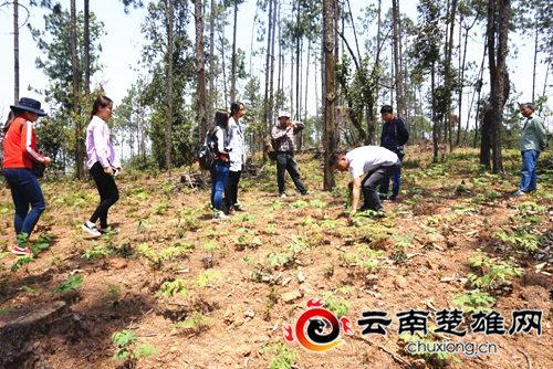 刘家村委会最新新闻速递