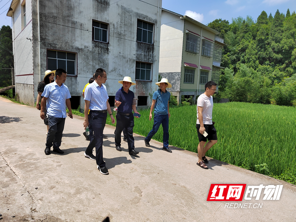石榴坪乡乡村振兴与社区发展新篇章报道