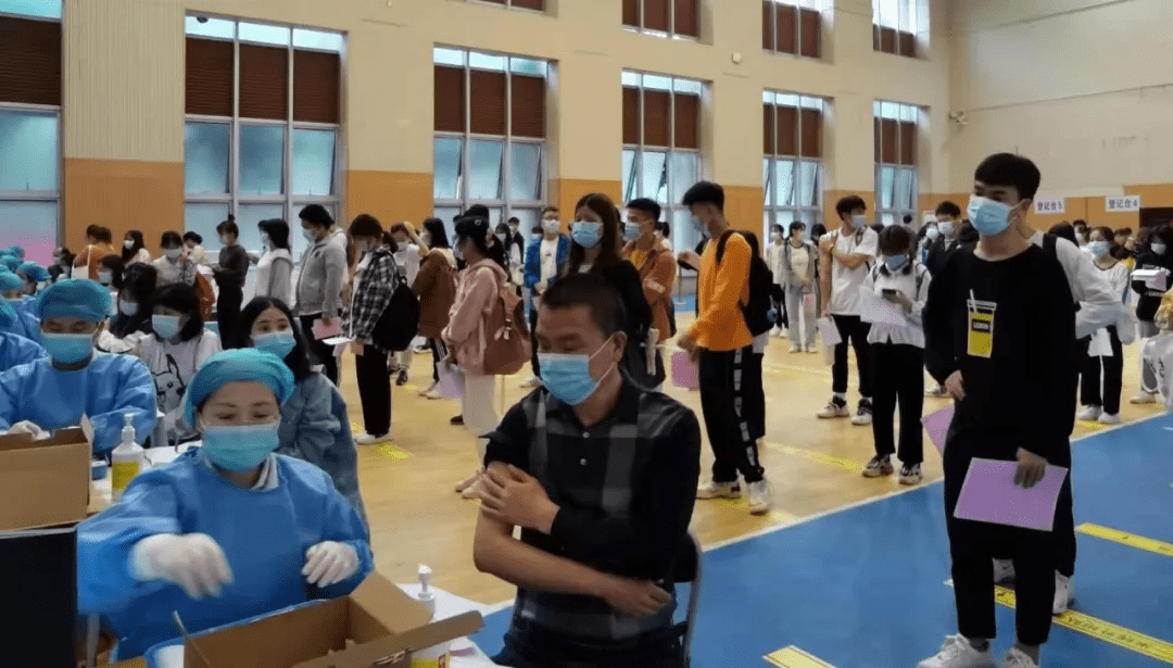洪江市文化局及其下属单位招聘启事公告