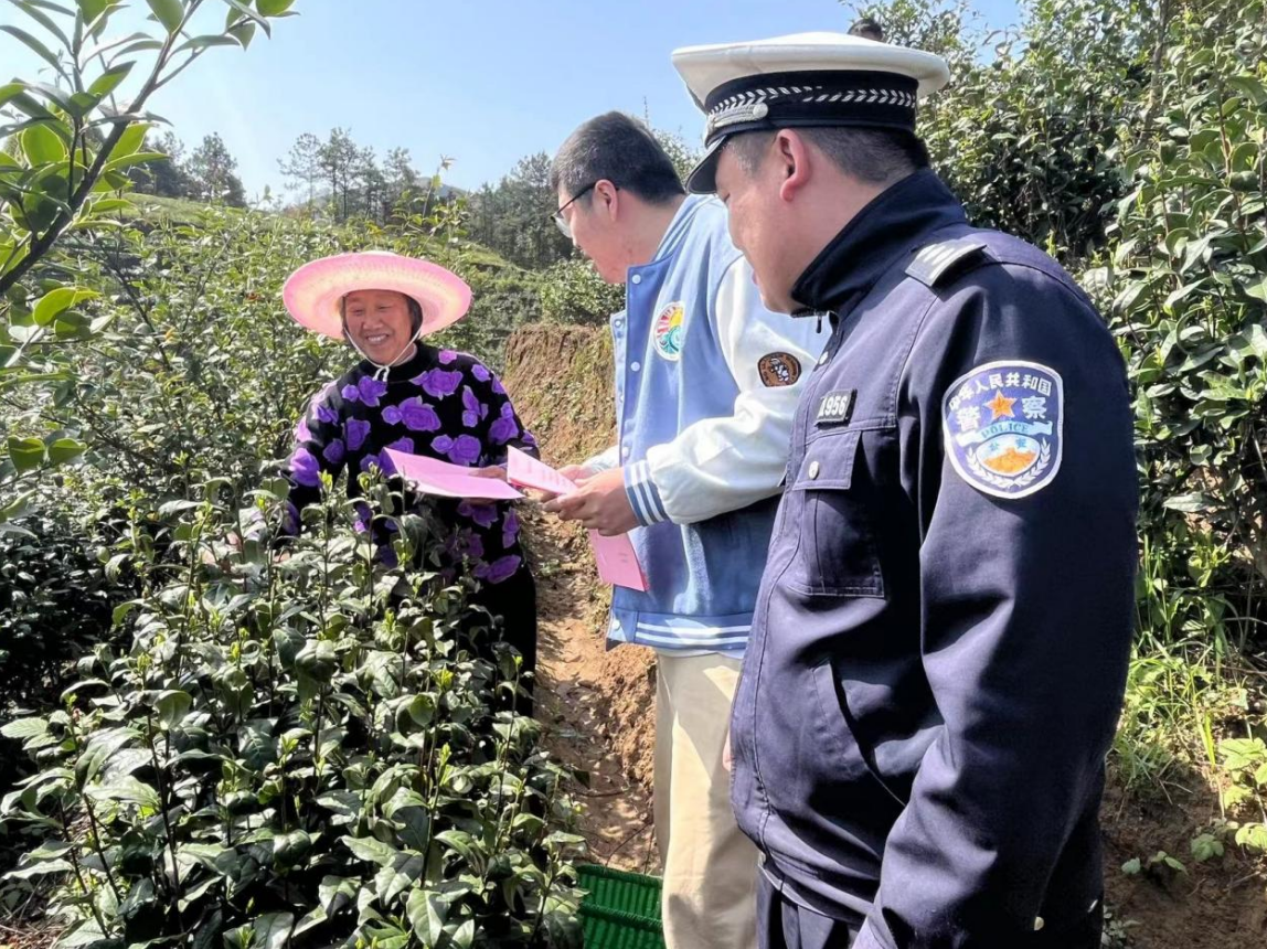 陈汉乡最新交通动态速递