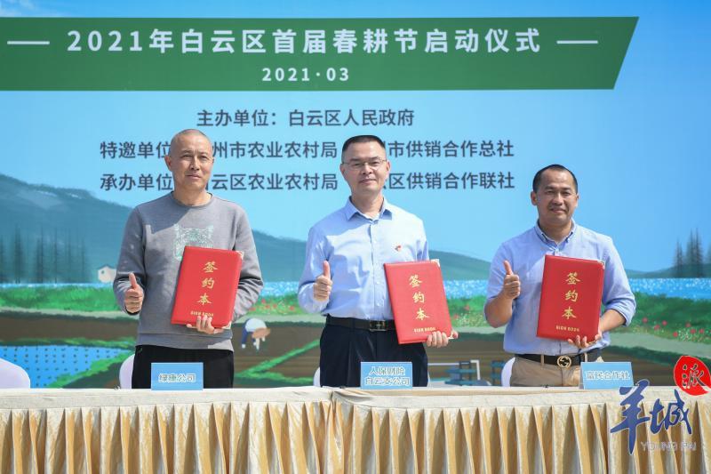 白云区农业农村局推动农业现代化，助力乡村振兴新动态