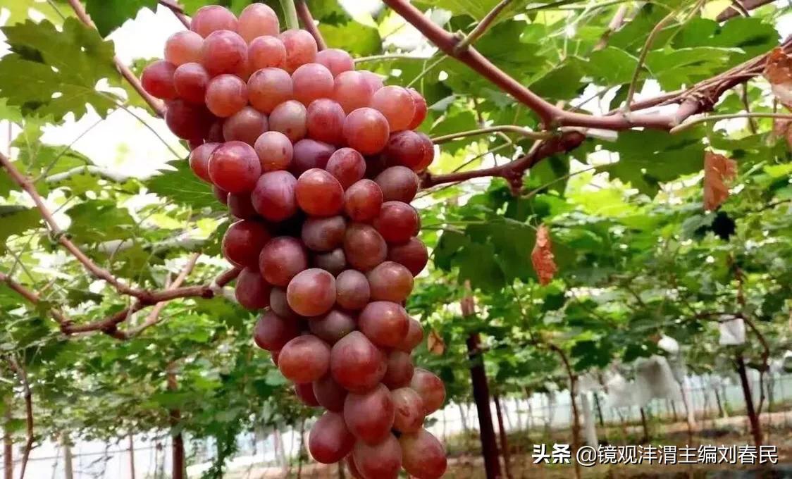 北塬街道办新项目，引领社区发展新篇章