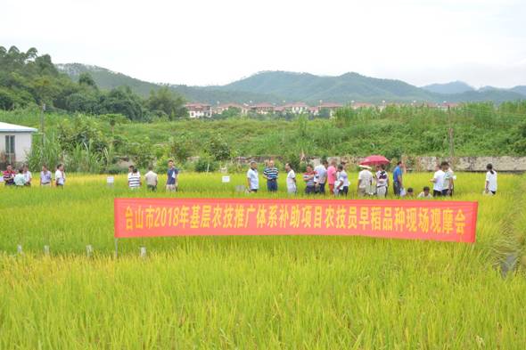 犹洮 第2页