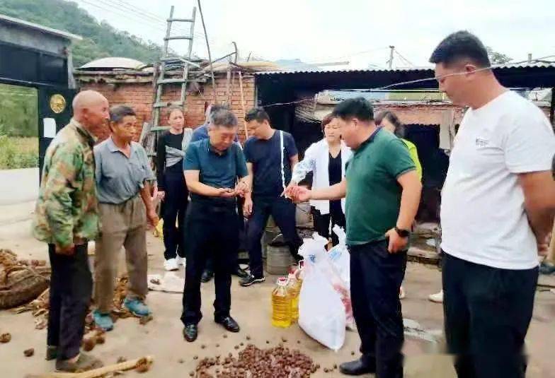 新开村领导引领村庄开启新篇章