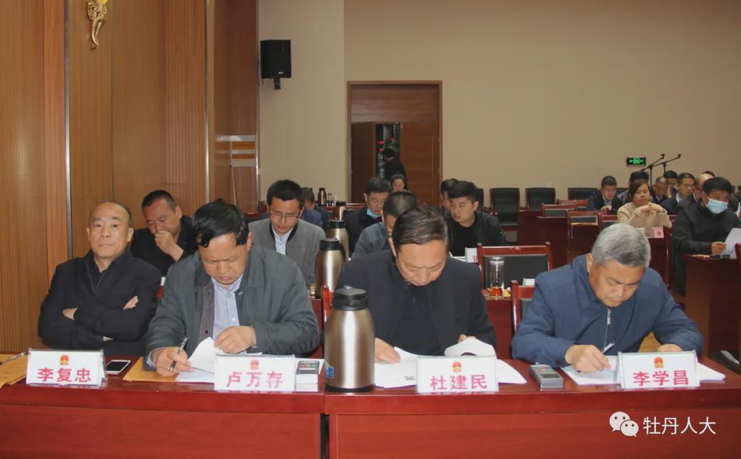 羊桐村委会人事任命，推动乡村发展新力量启航