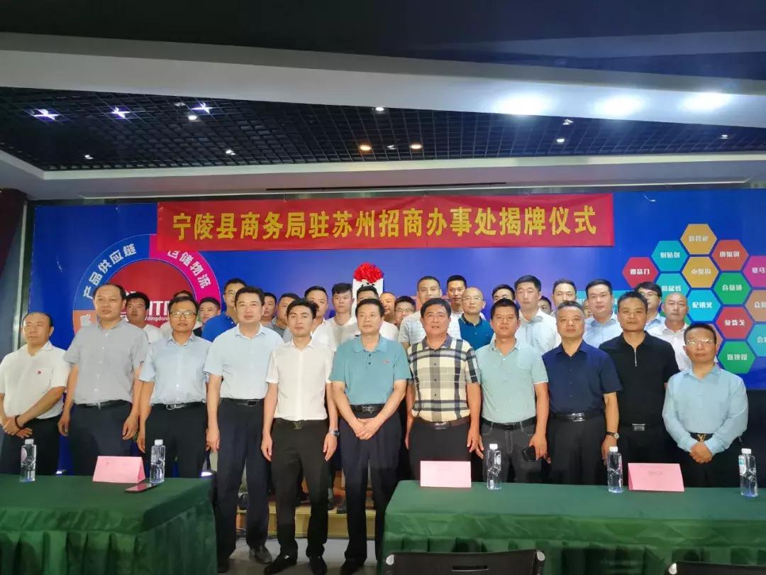 宁陵县数据和政务服务局人事任命动态解析