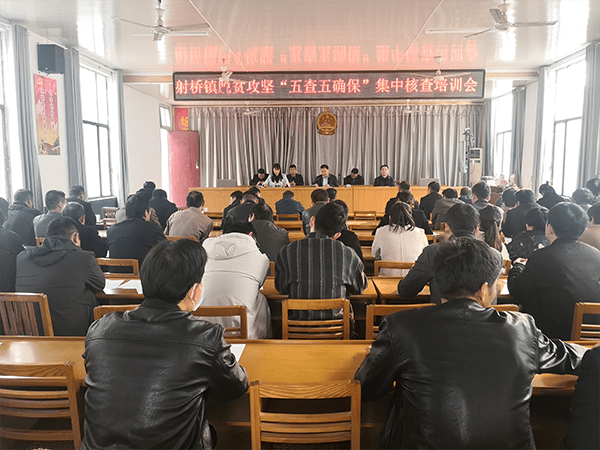 射桥镇最新领导团队概览