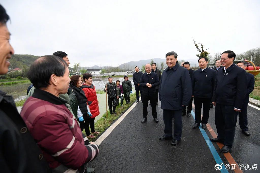 崖渠村委会乡村振兴与社区发展新篇章揭晓，最新新闻报道