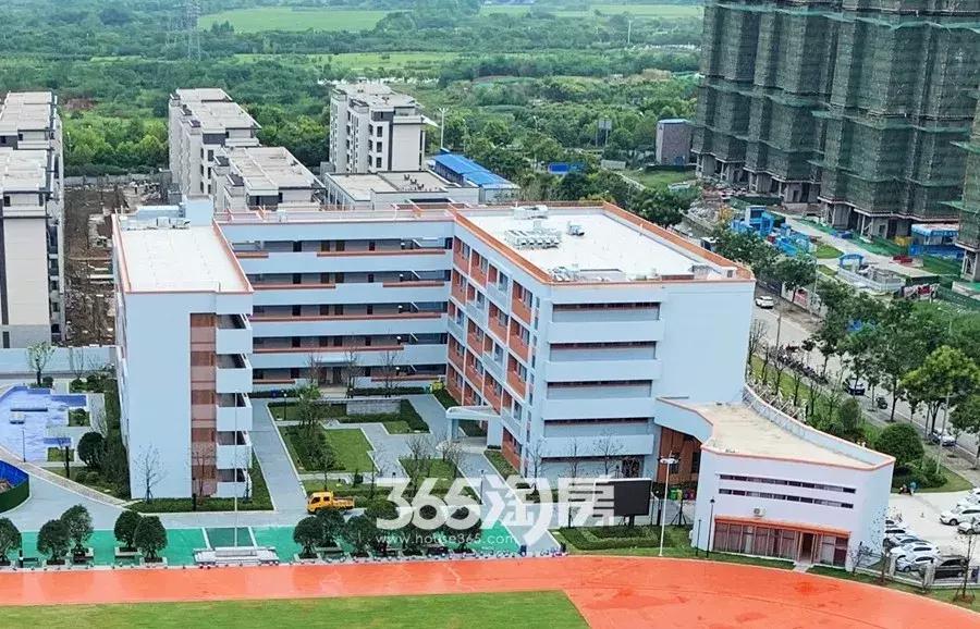 中江县初中未来发展规划概览