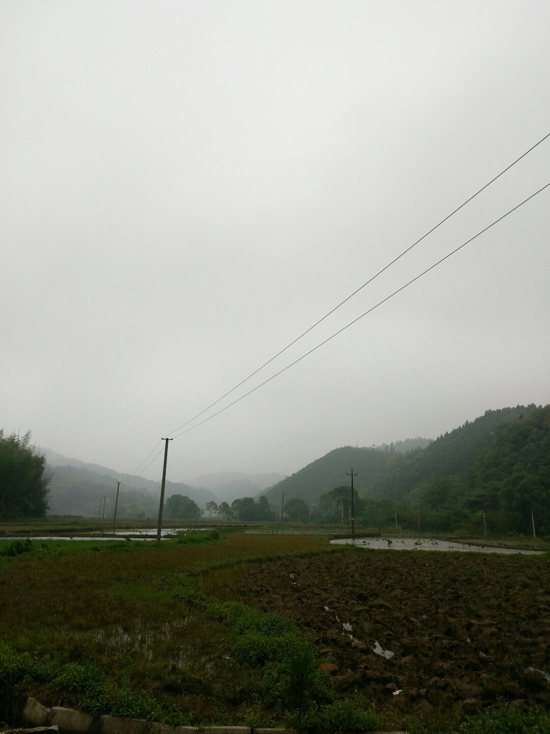 狮子岗乡天气预报更新通知