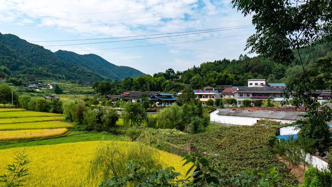 水宽乡未来发展规划揭晓，塑造全新乡村面貌