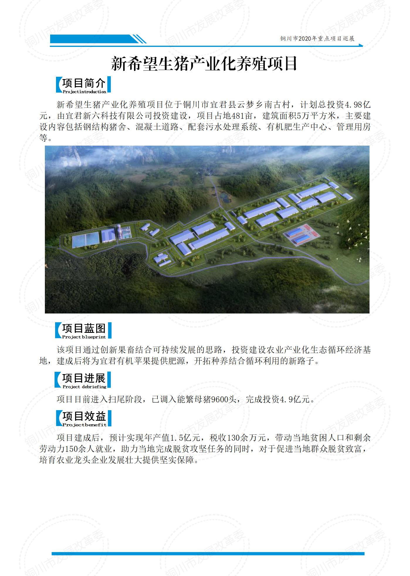 舜山乡典范项目，引领乡村发展新篇章