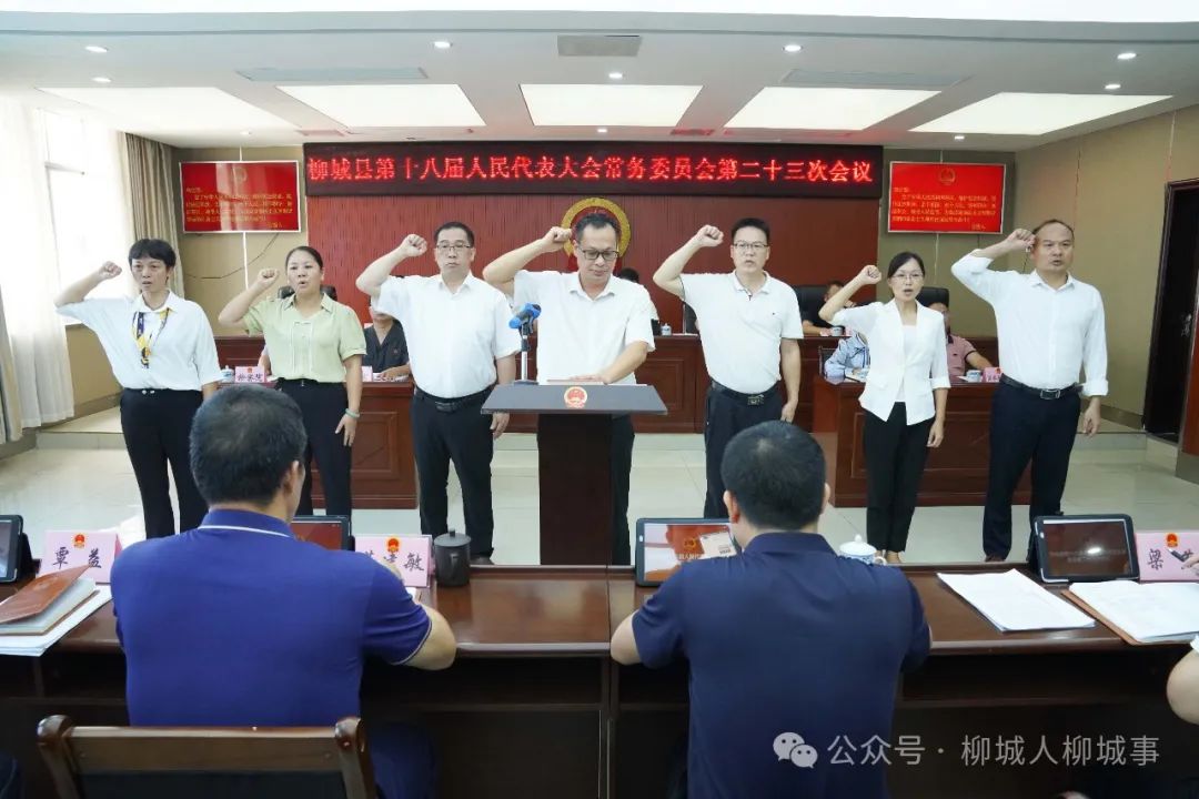 南城县发展和改革局人事任命揭晓，塑造未来发展新篇章