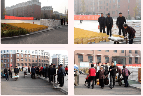 张家洼村委会重塑乡村道路，推动地区发展，最新交通新闻报道