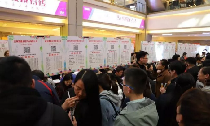 通化市财政局最新招聘启事