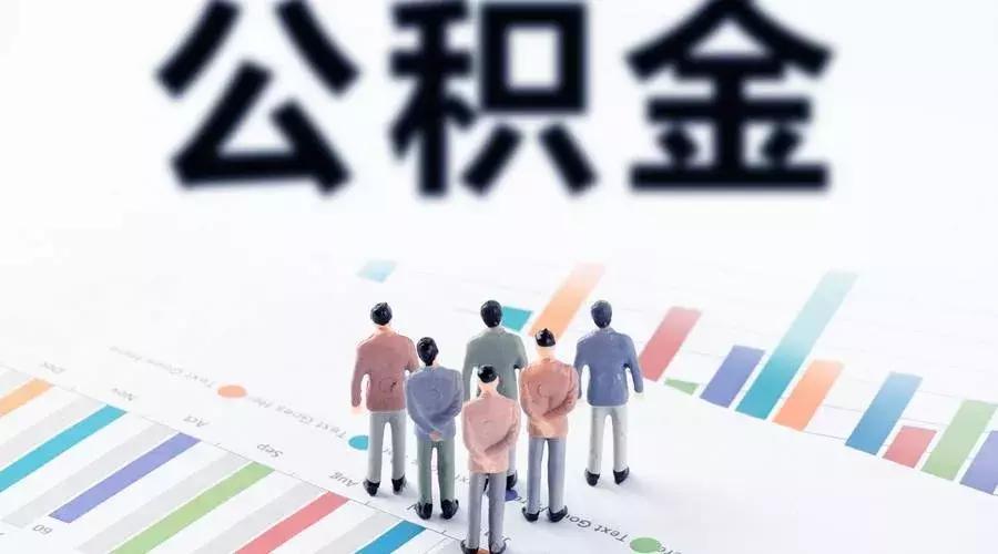 盐都区统计局领导团队引领未来，铸就辉煌新篇章