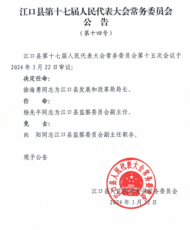 杨口最新人事任命动态概览