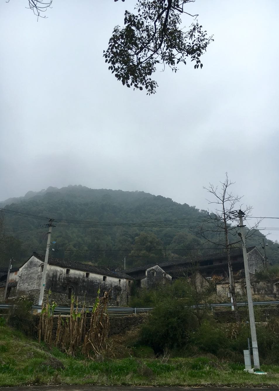 后溪镇天气预报更新通知