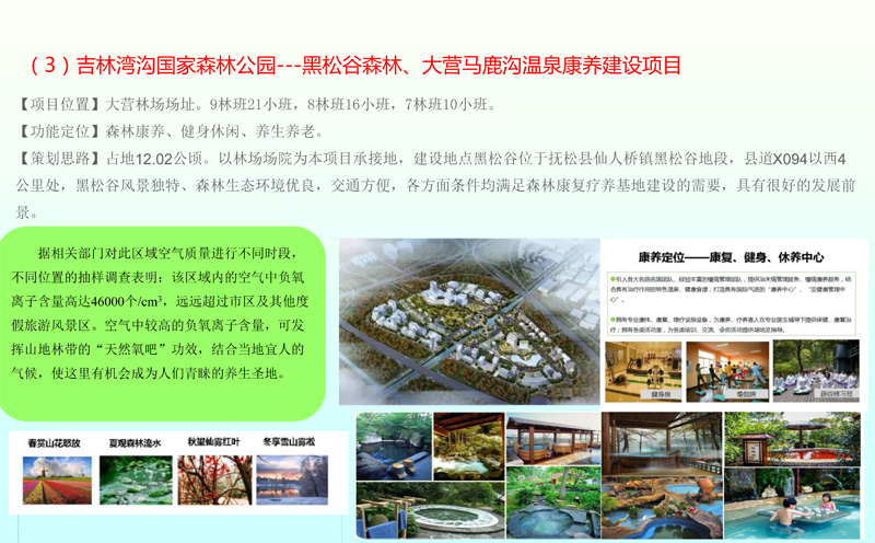 汤南林场迈向绿色繁荣，最新发展规划揭晓