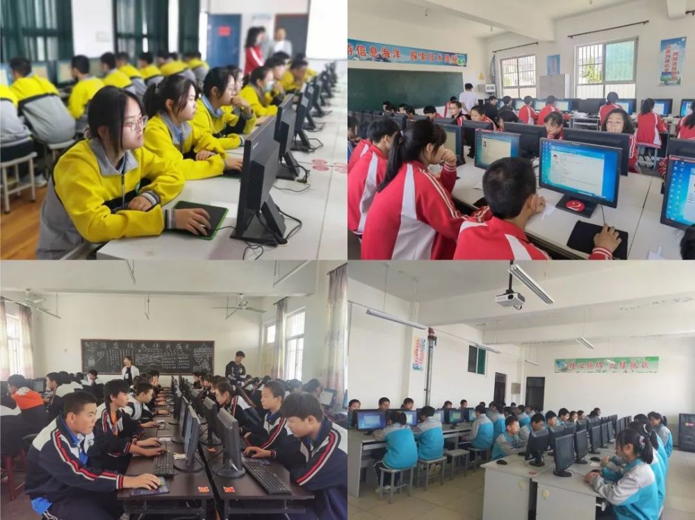 屏南县统计局最新招聘公告及详解