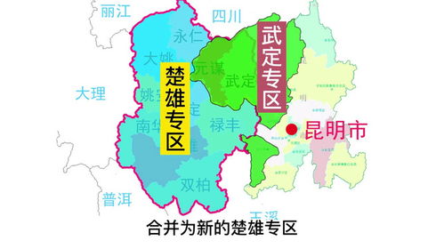 楚雄彝族自治州地方税务局未来发展规划展望
