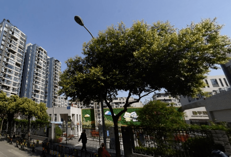 锦江区初中最新项目，开启现代教育新篇章探索