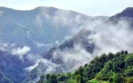 狮岭村今日天气预报概览