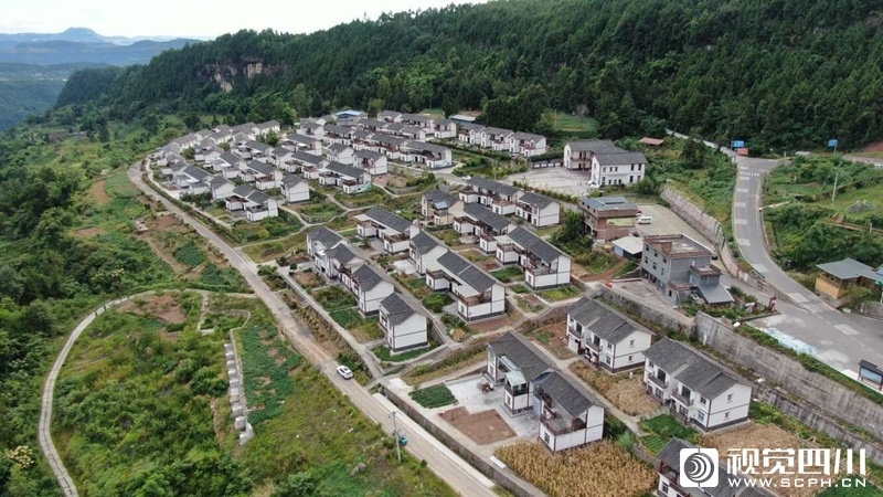 长滩村最新动态报道