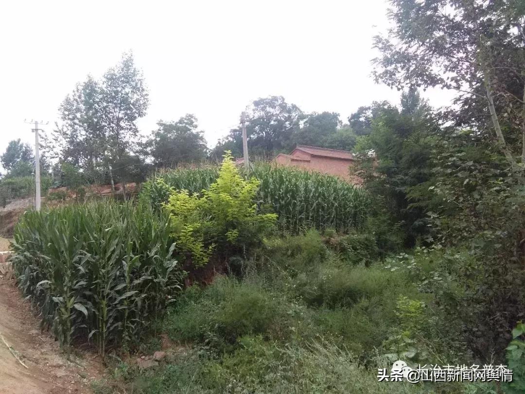 襄垣县民政局领导团队，引领变革，筑梦未来