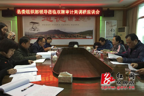 阳城县审计局领导团队简介