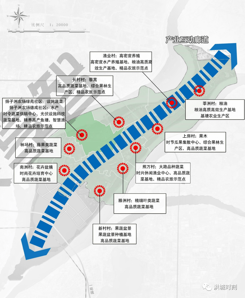 八卦洲街道未来发展规划展望