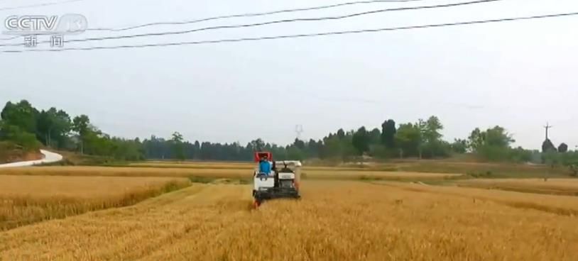 劳麦乡交通新动态，发展引领地方繁荣之路