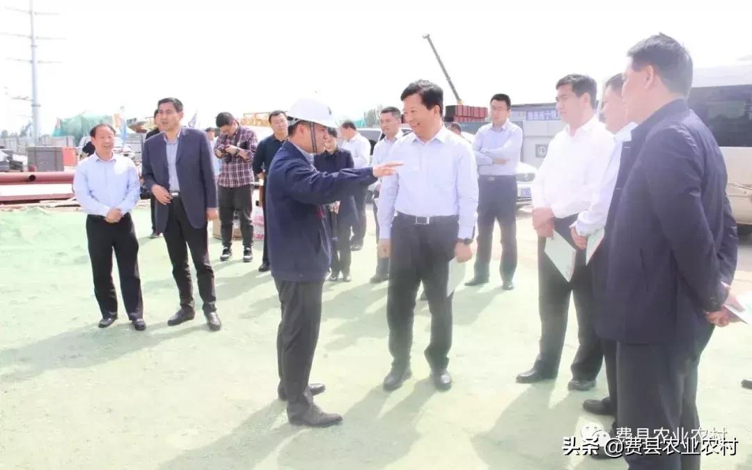费县农业农村局新项目推动农业现代化助力乡村振兴