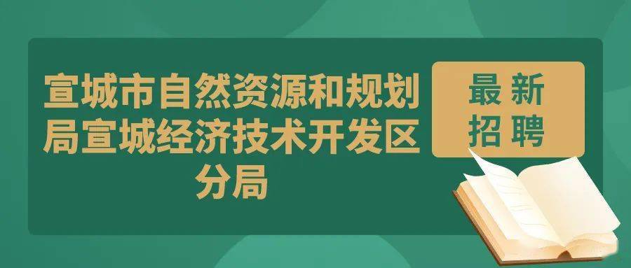 洛龙区自然资源和规划局最新招聘公告概览