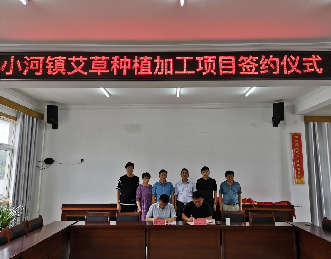 小河镇最新项目，地方发展的强大引擎引领者