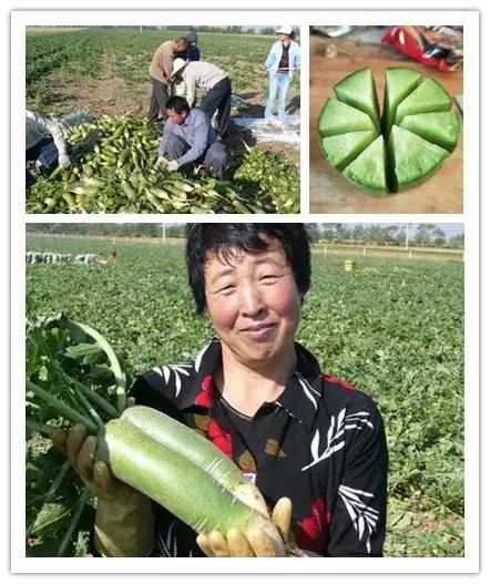 玉带村委会最新交通动态报道