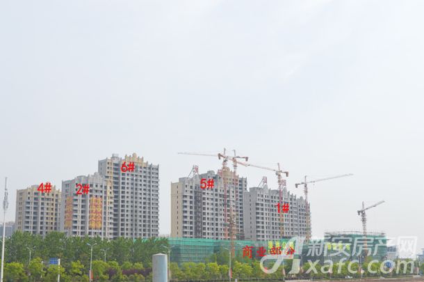 永安最新新闻，城市发展的脉搏与繁荣景象